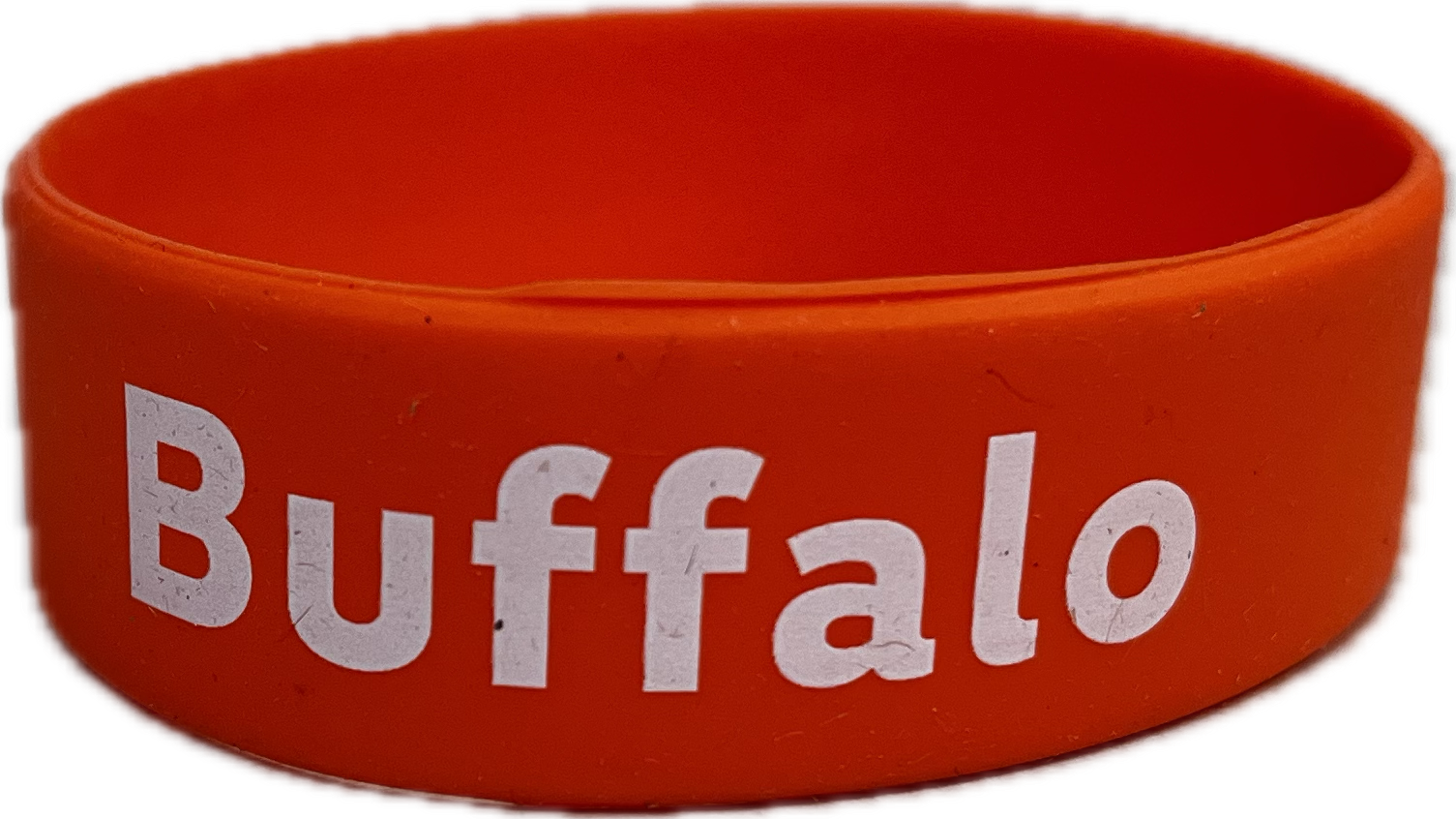 Buffalo Bottle Band